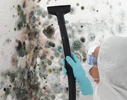 Best Air Quality Testing for Mold Spores  in Benicia, CA